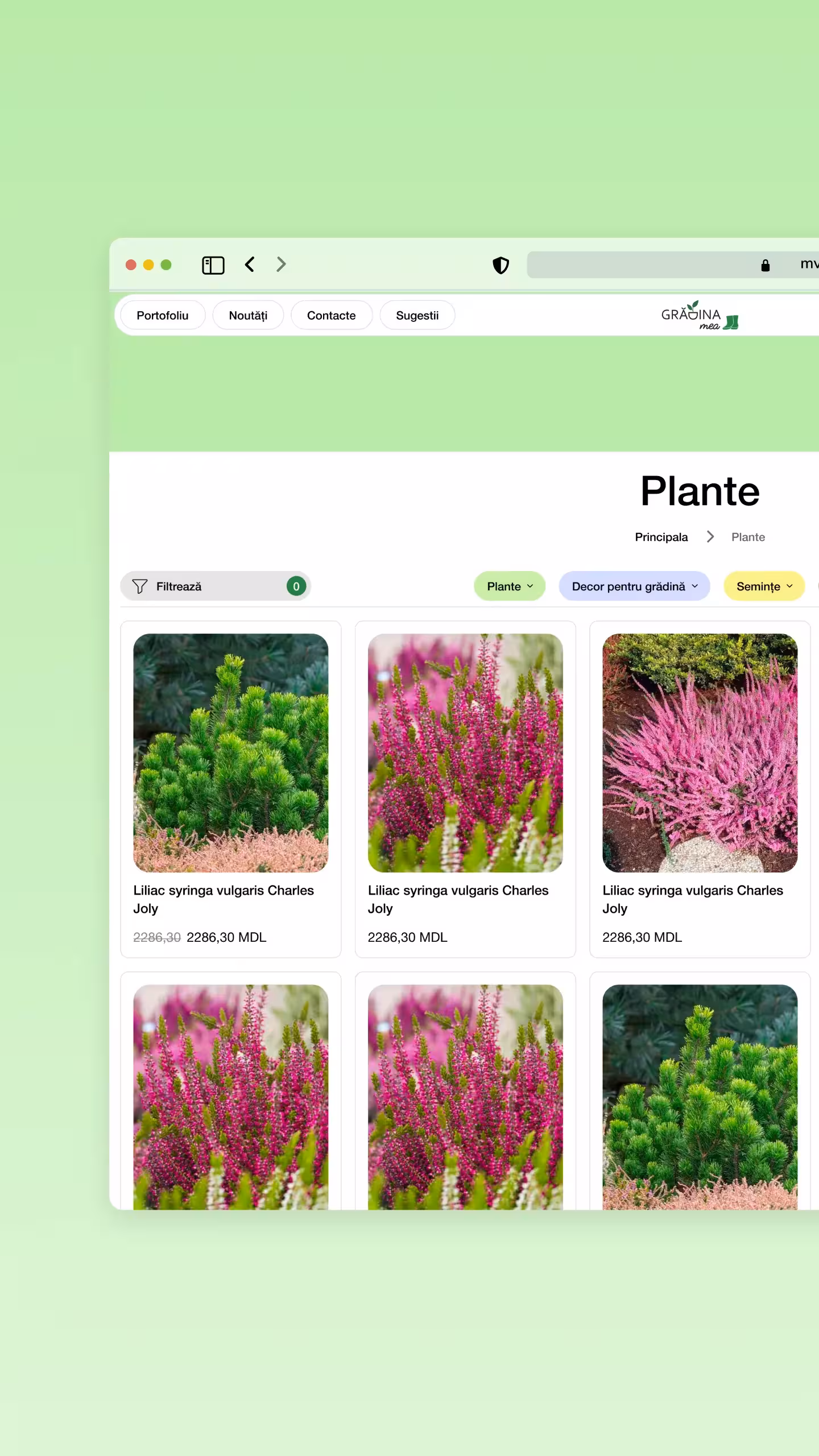 Grădina Mea | Magazin online grădinărit | Catalog web cu filtrare pe categorii și sincronizare automată stocuri | Platformă B2B/B2C